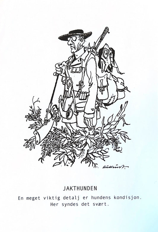 Postkort - Jakthund