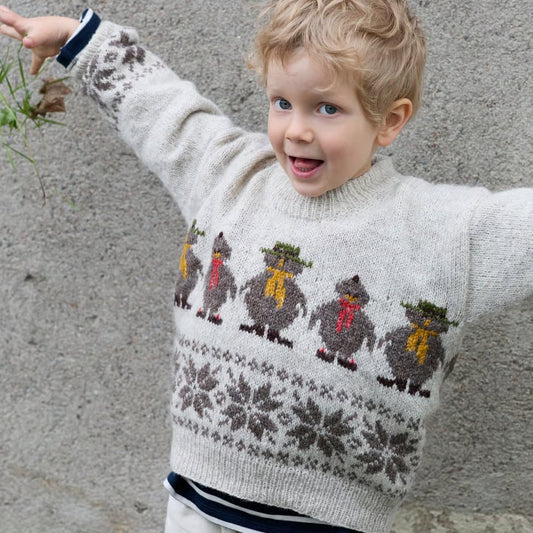 Flåklypa strikkegenser - strikkepakke